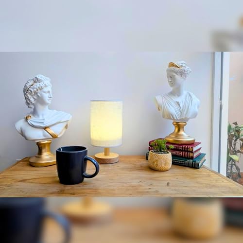 La mejor comparación de Bustos - los más vendidos. 29 Imagen adicional