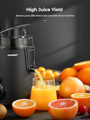 Blender For Beetroot Juice
