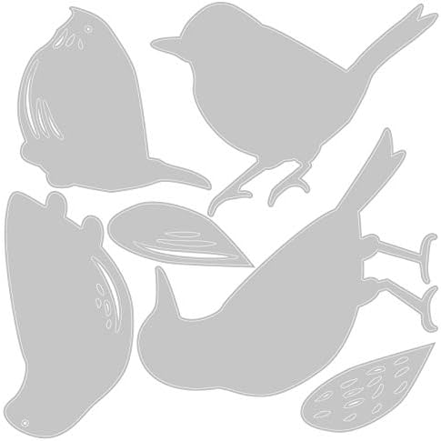Sizzix Thinlits Die Set 6 Pack 664433, Feathered Friends by Tim Holtz, Paper, Multicolour, One Size
