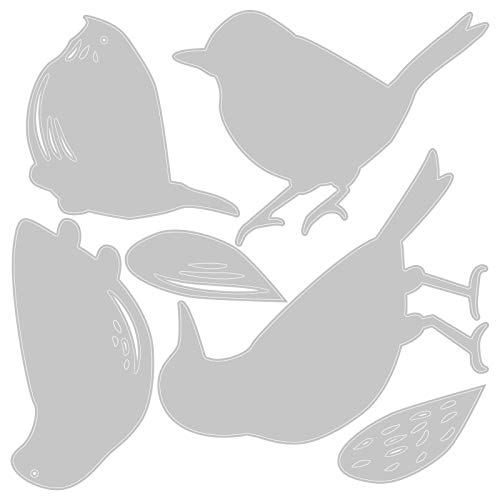 Sizzix Thinlits Die Set 6 Pack , Feathered Friends By Tim Holtz Cutting Dies, Multicolor #TOP1