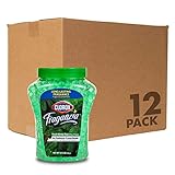 Clorox Fraganzia Air Freshener Beads in Fresh Winter Pine Scent, 12 oz Jar | Gel Beads Air Freshener...