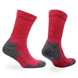 Photo Gallery n norfolk alfie - calzini imbottiti per diabetici e edema, rosso, 6-9 Photo Gallery n norfolk alfie - calzini imbottiti per diabetici e edema, rosso, 6-9