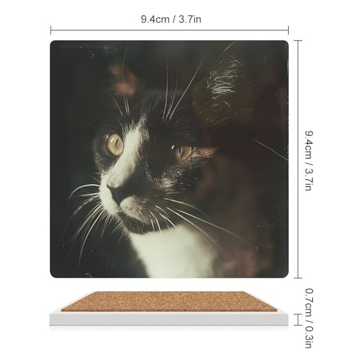 Dessous de verre chat lot de 6 céramique carrés pour table