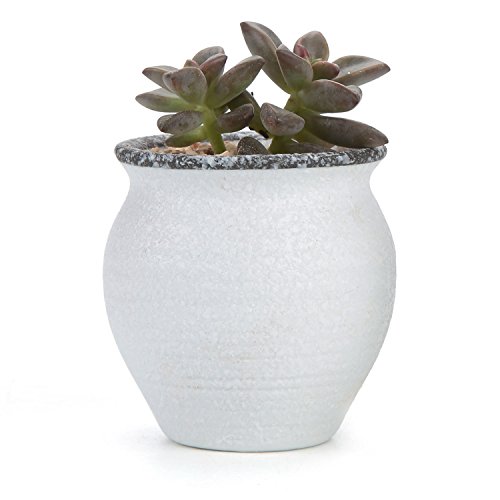 T4U 2.5 Inch Small Ceramic Succulent Planter Pots With Drainage Hole Set Of 12, Snowflakes Glazed Porcelain Handicraft As Gift For Mom Sister Home Office Table Desk Decoration #TOP6