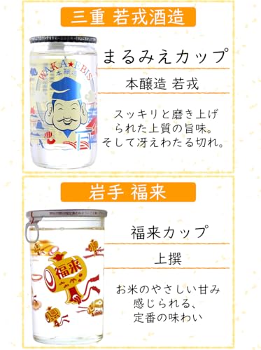 天の戸 カップ酒 飲み比べ6本セット