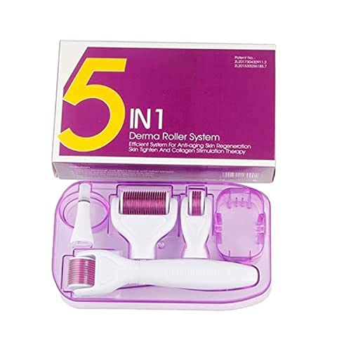 Derma Roller System 6 in 1, rigenerazione della pelle, terapia di stimolazione del collagene (6 in 1)