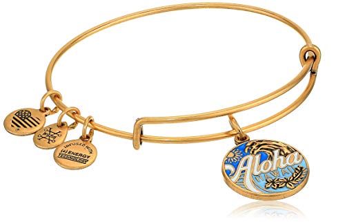 Alex And Ani Replenishment 19 Women's Aloha II Charm Bangle, Rafaelian Gold