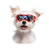 Billionchains Dog Goggles Dog Sunglasses for Small Breed UV Protection Windproof with Adjustable Head Straps Chin Straps for Ride Car/Hiking Travel/On Beach-Orange