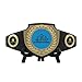 ZipToMeNow Custom Bright Shield Championship Belt in Black
