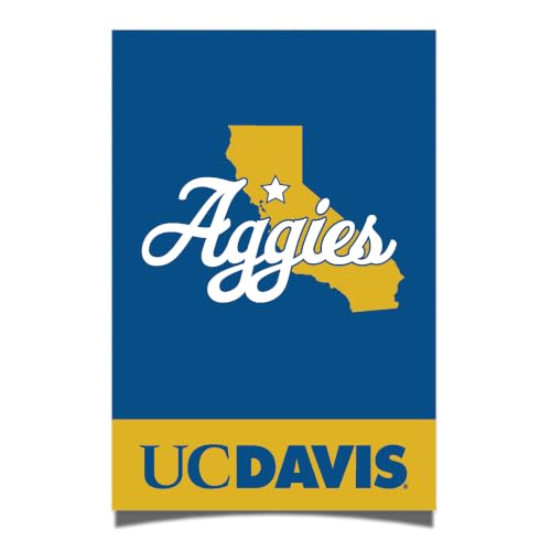 Desert Cactus UC Davis Aggies Paper Poster 11 x 17 inch Wall Décor (1)
