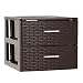 Tradineur- Cajonera de ordenación con cajones de plástico efecto mimbre . Torre de almacenaje multiusos, organizador auxiliar, almacenamiento, baño (WENQUE 2 CAJONES)
