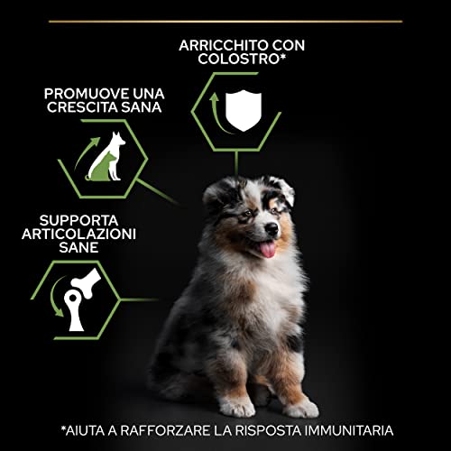 PURINA PRO PLAN Healthy Start Medium Crocchette per Cani Cuccioli con Pollo 4 Sacchi da 3kg - Immagine 2