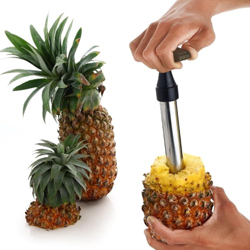 Image of HELIMIX Stainless Steel Pineapple Slicer Cutter, Pineapple Seed Clip Eye Remover, Deseeding Gadget Corer and Slicer Tool Combo.