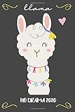 Llama No Drama 2020: Weekly Planner and  Daily Food Log Book ( 365 Days) With Calorie Count, Water Intake, Fitness Tracker, Mood Tracker, Priorities and To do List.
