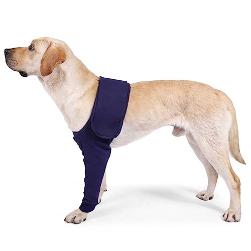 Find The Best Leg Sleeve For Dogs Reviews & Comparison Katynel