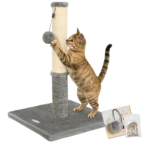 Happi N Pets Cat Scratching Post, Cat Scratcher for Indoor Cats, Sisal Scratching Post & Carpet Post in One, Stable Kitten Scratching Post with Replaceable Toy, Extra Free Toy, Light Gray
