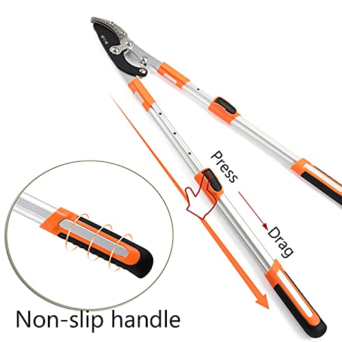 Encuentra reviews de Cortarramas telescópicas para comprar online. 21 Imagen adicional