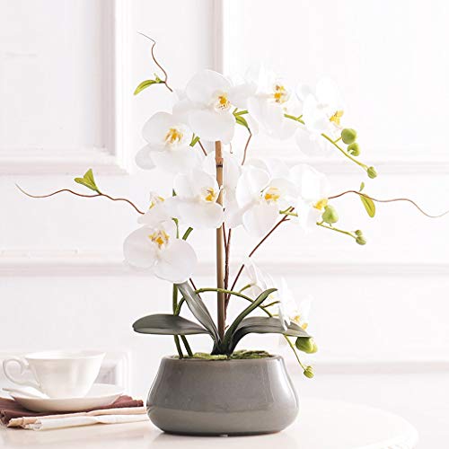 Orchidée artificielle en soie haut de gamme Phalaenopsis blanc rose pour salon