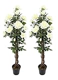 AMERIQUE Pair 4 Feet Artificial White Rose Trees with Nursery Pots, Real Touch Tech.