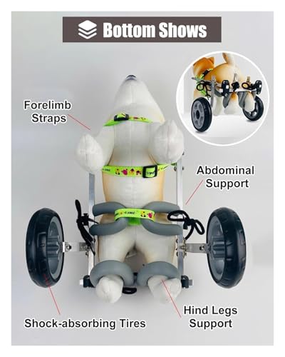 Chariot de transport pour chien avec pattes arrière paralysées M