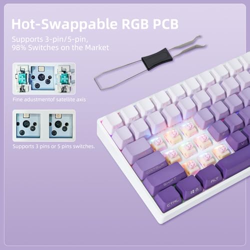Image of ZORNHER ZH100 Wireless Mechanical Keyboard,98% Purple Creamy Keyboard with Number Pad,Full Size Gaming Keyboard,Lighted Up PBT Dipped Keycaps,KKT Red Switches