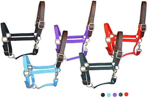 SIE Adjustable Nylon Breakaway Horse Halters (Turquoise, Full)