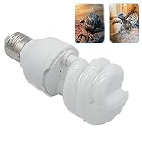 Tortue Légère Reptile UVB 10.0,Ampoules de Tortue Lampe de Terrarium Compacte à économie D'énergie pour Reptiles du Désert Serpent / Lézard / Insecte / Tube en Spirale Léopard (UVB10.0 13W)