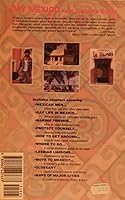 Gay Mexico: An Insider's Guide 0962427632 Book Cover