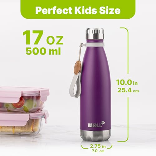 Image of 17 oz Stainless Steel Vacuum Insulated Sports Water Bottle No Straw