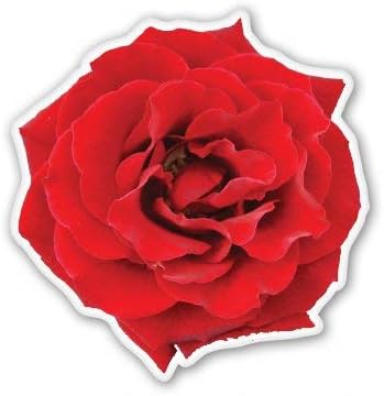 Amazon.com: Red Rose Vinyl Sticker - Car Phone Helmet Bumper Sticker ...