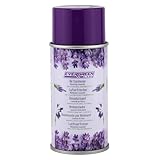 Evergreen Labs B0FLWSTVJ5 lato 2