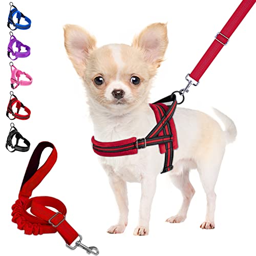 Eyein Small Dog Harness & Lead