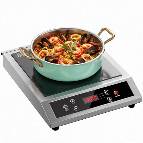 Stainless Steel Induction Cooktop, Professional-Grade Portable