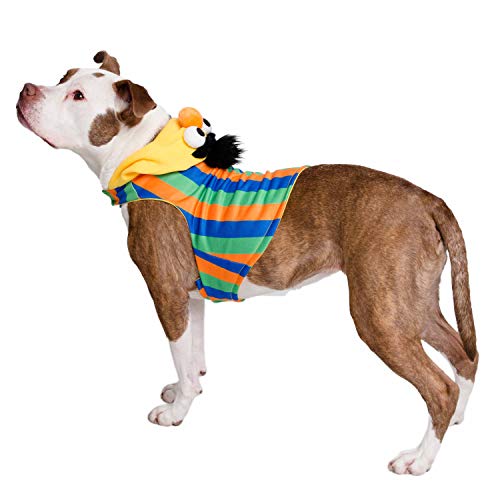 Disfraz Bert para perro talla pequeña miniatura 3