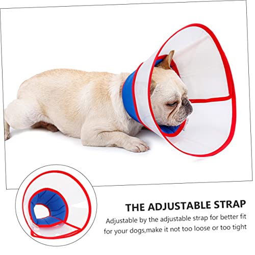 Collier élisabéthain transparent Angoily pour protéger le chien à la maison durant ses soins