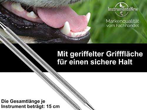 Hunde Zahnsteinentferner Set Zahnreiniger für Tiere 2-Teilig aus Edelstahl Scaler und Flügel vom Fachhandel mit Zahnsteinkratzer – Bild 6
