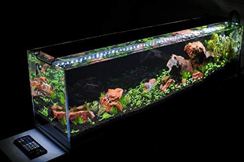 Parko Big Size Fish Tank Aqua Habitat Aquarium 40 Litre,12x12x18 Inches