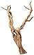 Fische 25,4 cm Ghostwood sandgestrahlt branchy, variiert