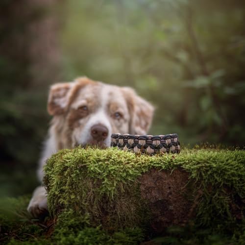 Ben&Bruno Hundehalsband | Breit & Verstellbar | 100% Handgefertigt | Robust, Sicher & Langlebig | Starkes Paracord Halsband | Halsbänder für Kleine, Mittelgroße & Große Hunde | Weiß - L