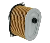 OEM Replacement Rear Air Filter Cleaner