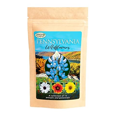 Pennsylvania Wildflower Seed Mix, Covers 325 Sq Ft, 15 Flower Varieties, Over 50,000 Seeds - Created By Nature Cover