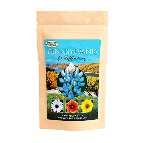 Pennsylvania Wildflower Seed Mix