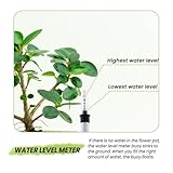 PBAHAUP B0GLQ2PHNQ lato 3