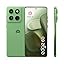 PANTONE Shamrock