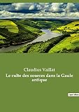 Le culte des sources dans la Gaule antique