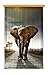 Produktbild Gardine/Vorhang FCS L 7507, Elefant, 140 x 245 cm, 1 teil"
