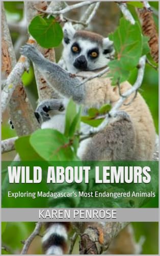 Wild About Lemurs: Exploring Madagascar's Most Endangered Animals: Facts for Kids/Rainforest Animals/Wildlife Conservation/Indri/Aye-Aye/Ring-Tailed/Primates/Africa Animals/STEM Science