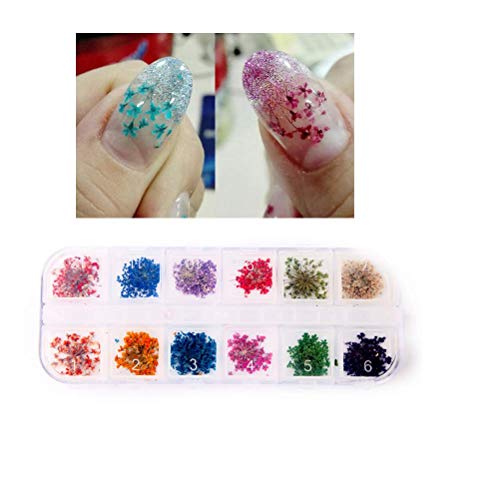 HZWLF Nail Art Tool, Trockenblume Nail Art 3D Nagelaufkleber Aufkleber für Frauen (36 Stück große Trockenblume + 36… – Bild 6