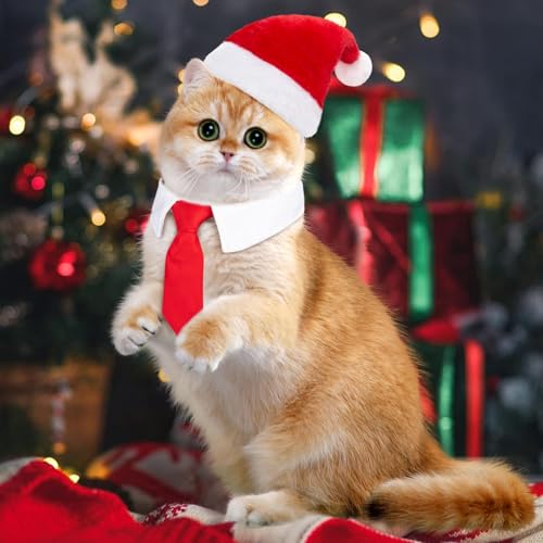 MELLIEX 2 Stück Weihnachten Hundekostüm, Hunde Katzen Weihnachtsmützen und Krawatte Weihnachtskostüm Zubehör Set für Haustier