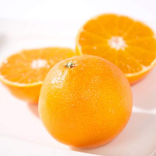 Ε ݂ ܂ǂ Gi 󂠂Mtg v[g k 񂫂 ~J  Q l ɂ (Gi3kg)